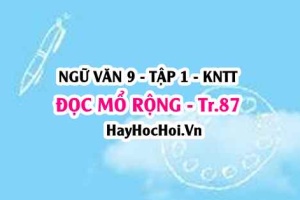 Soạn bài Đọc mở rộng trang 87 Ngữ văn lớp 9 tập 1 Kết nối tri thức
